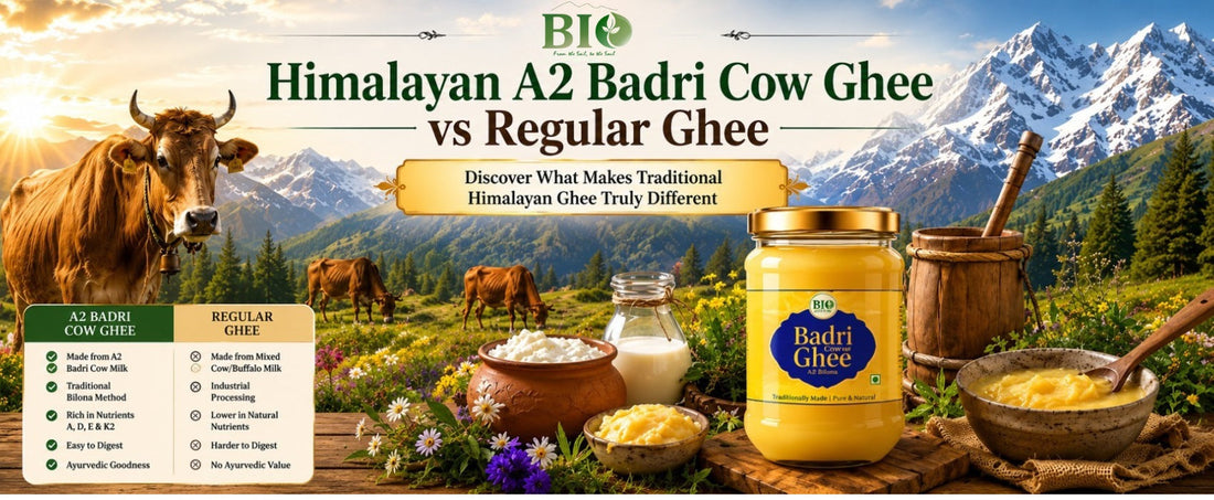 Himalayan A2 Badri Cow Ghee vs Regular Ghee: What Makes It Different?