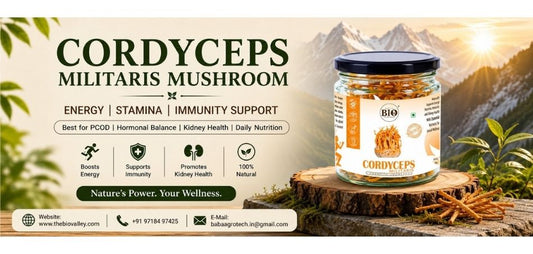 Cordyceps Militaris Mushroom: A Complete Guide to Energy and Immunity Support