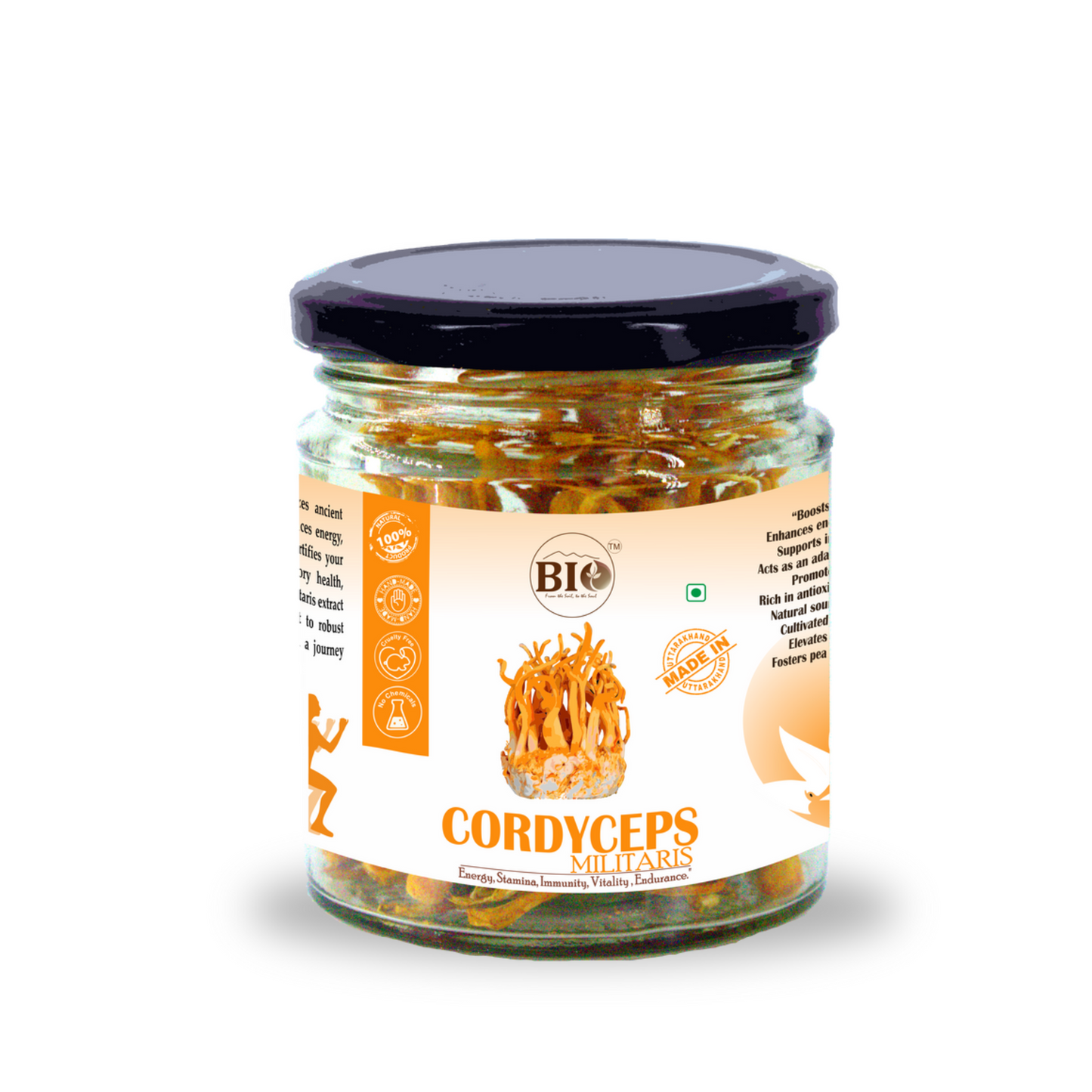 Cordyceps Militaries Dry Fruiting Body 10g