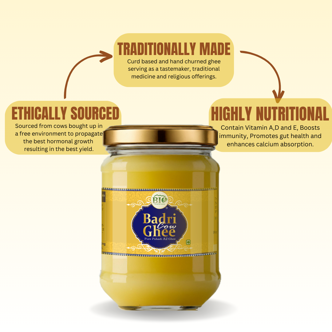 Himalayan Badri Cow A2 Ghee | Bilona processed Ghee | Pahadi Ghee | Traditional- Medicinal Ghee | 500gm