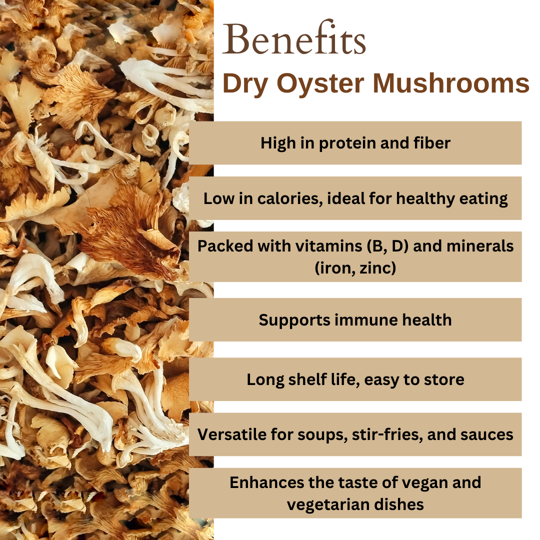 Dry Oyster Mushroom | Naturally Sun Dried | 100g