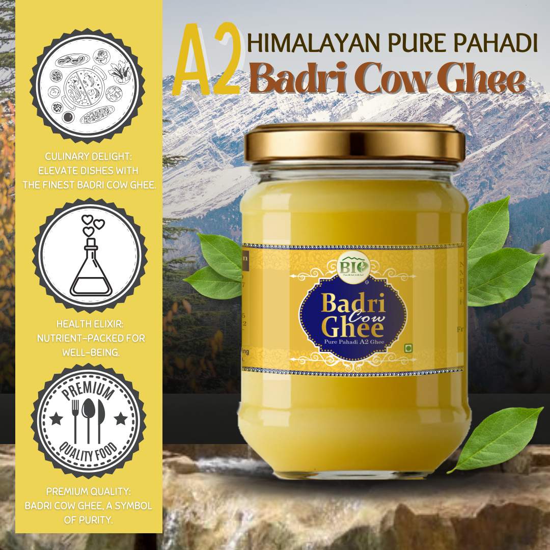 Himalayan Badri Cow A2 Ghee | Bilona processed Ghee | Pahadi Ghee | Traditional- Medicinal Ghee | 500gm