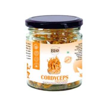 Cordyceps Militaries Dry Fruiting Body 10g