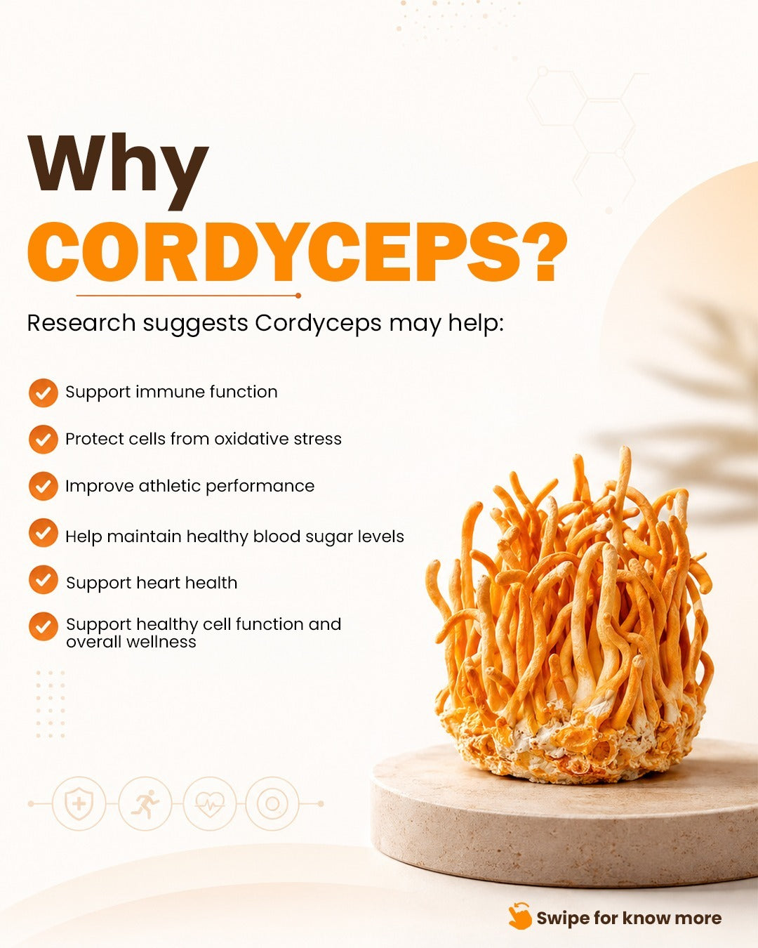 Cordyceps Militaries | Dry Fruiting Body | 10g