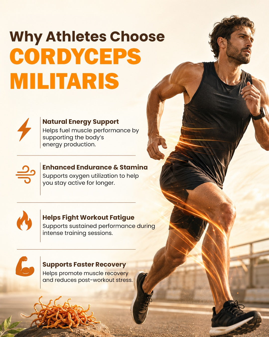Cordyceps Militaries | Dry Fruiting Body | 10g