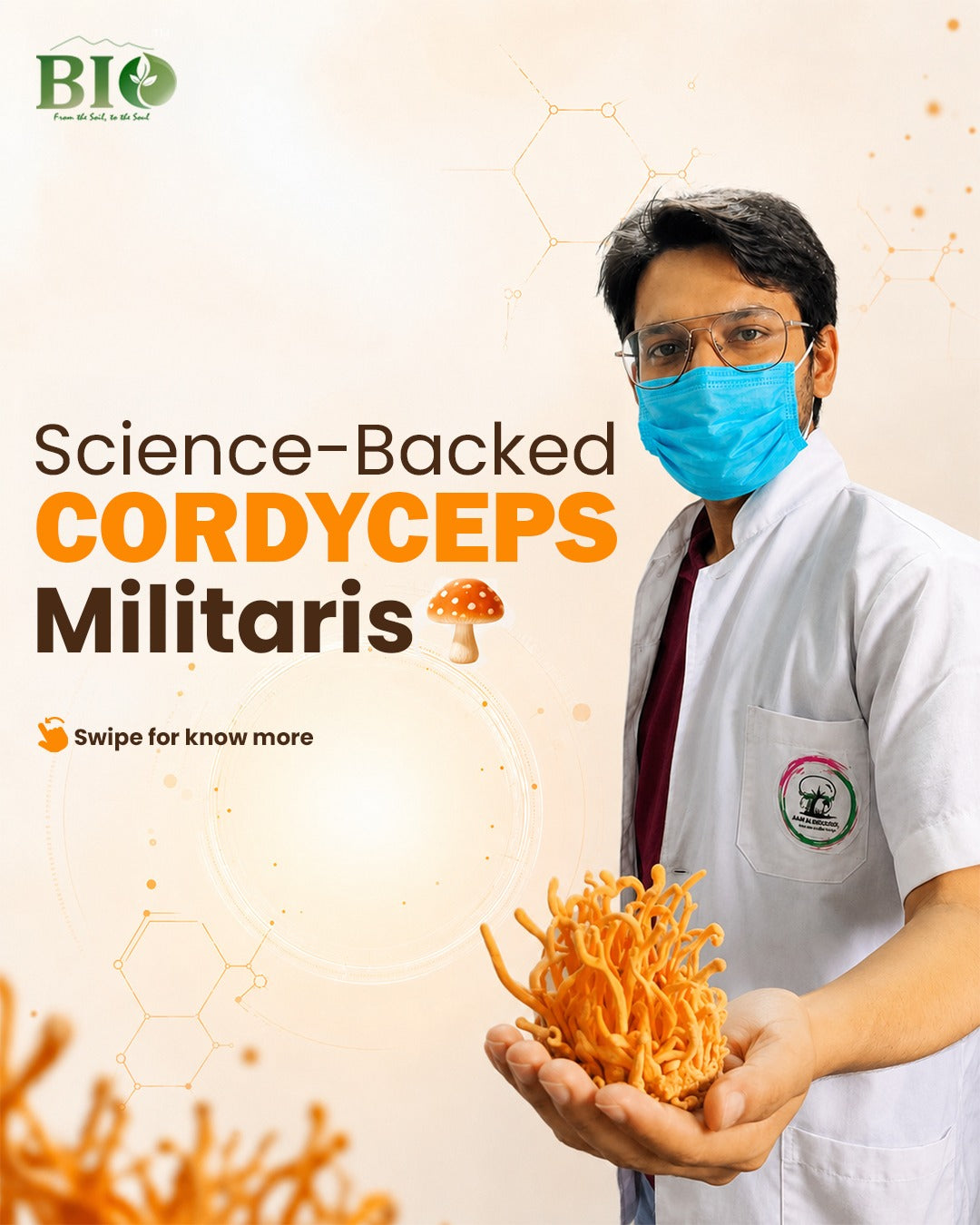 Cordyceps Militaries | Dry Fruiting Body | 10g