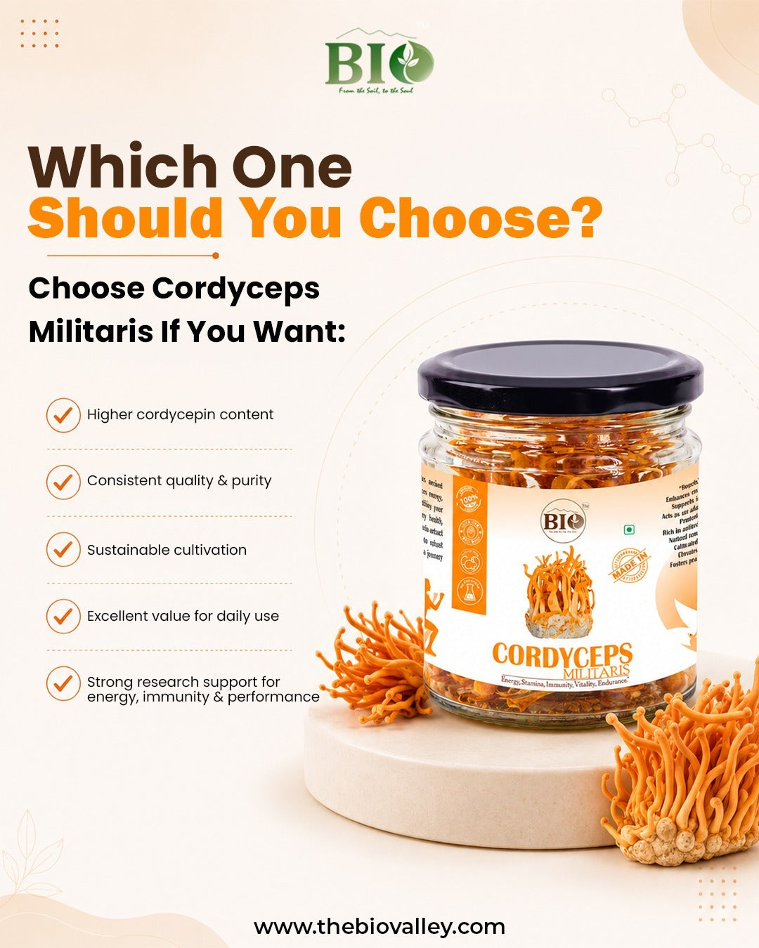 Cordyceps Militaries | Dry Fruiting Body | 10g