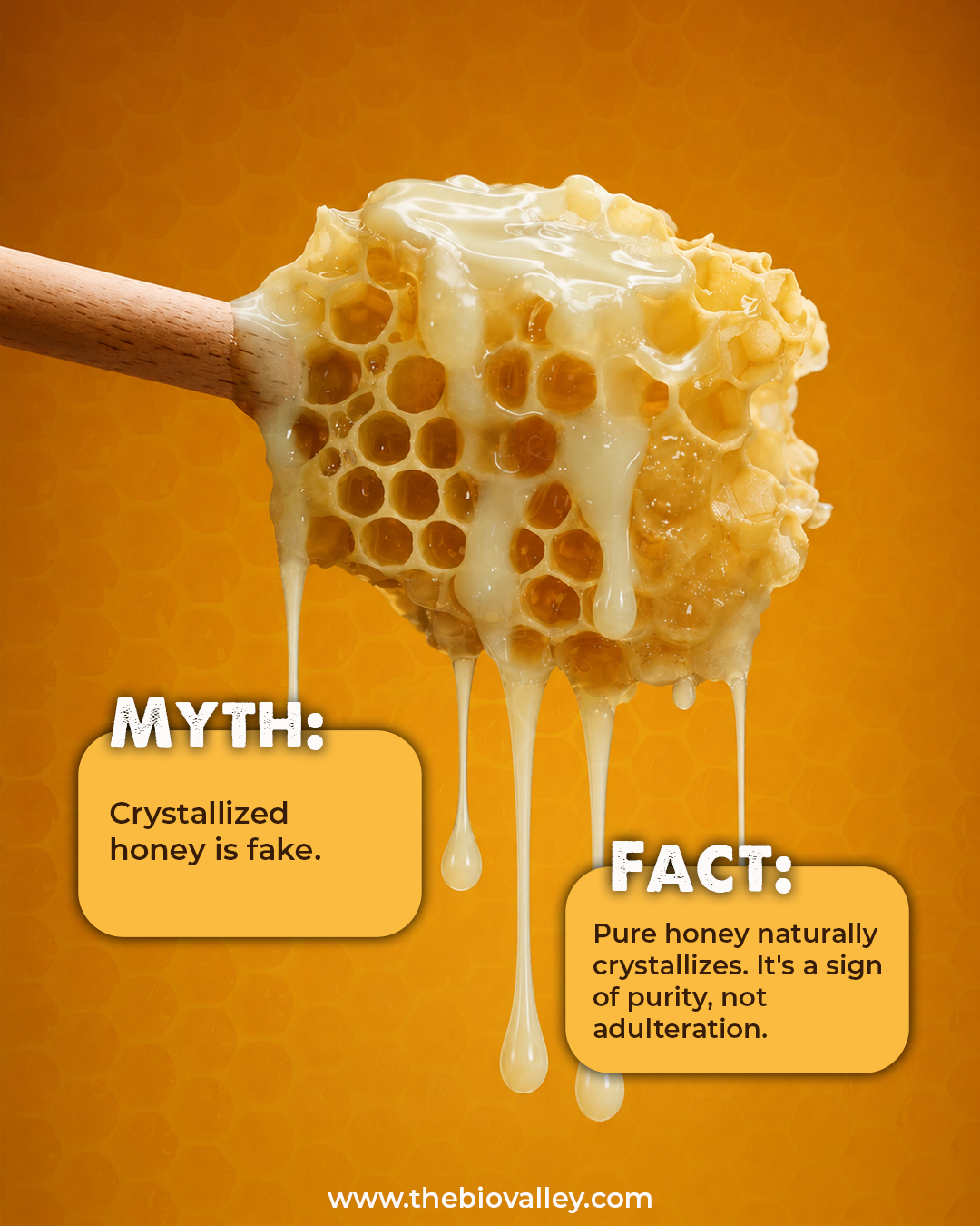 Cream Honey | Raw & Unfiltered| 250gm